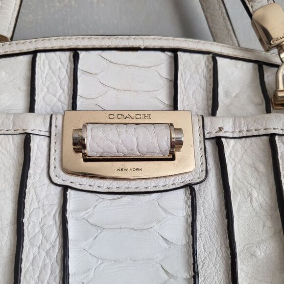 Coach Madison Domed Satchel in Exotic Animal Embossed Stripe Leather 14 x 12 x 3 - Picture 4 of 13